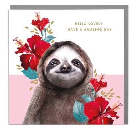 Sloth card | ZSL Shop