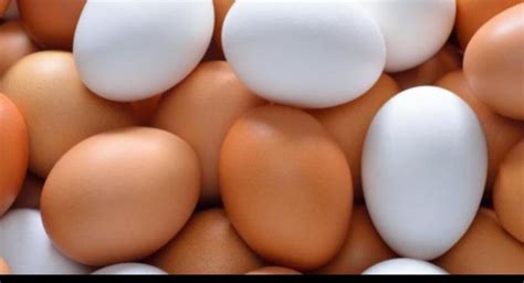 Sri Lanka To Import 42 Million More Eggs From India