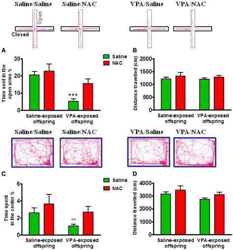 Amelioration Of Anxiety In The Vpa Exposed Offspring By Nac On P29 And Download Scientific