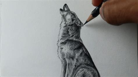 Aprender Sobre 106 Imagem Lobos Desenhos Realistas Br Thptnganamst