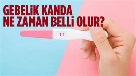 Gebelik kanda ne zaman belli olur Ankara Masası