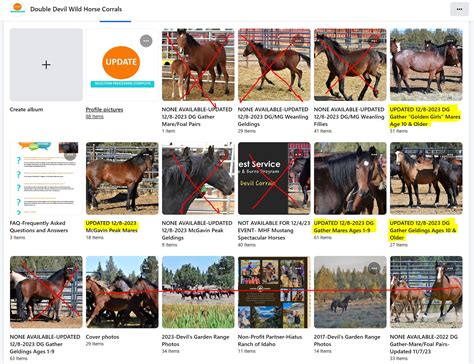 Double Devil Wild Horse Corrals