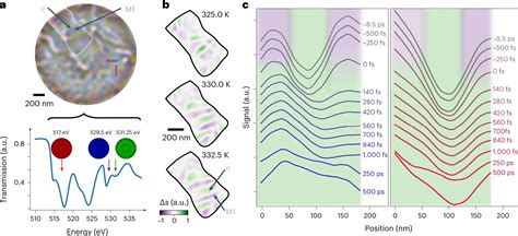 New X-ray imaging technique to study the transient phases of quantum ...