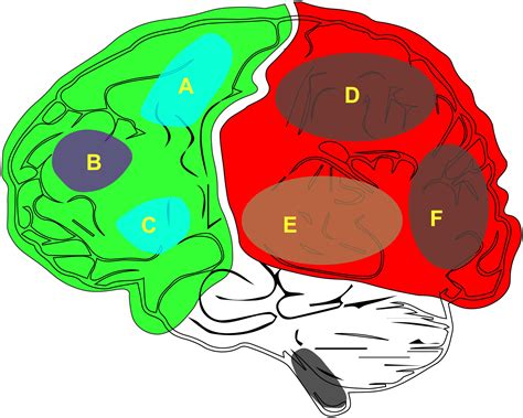 Frontiers Consciousness New Concepts And Neural Networks