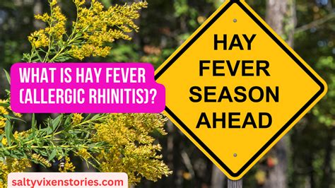 What Is Hay Fever Allergic Rhinitis Salty Vixen Official Website