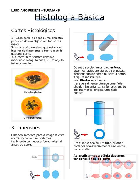 2 Histologia BÁSICA resumo LURDIANO FREITAS TURMA 46 Histologia