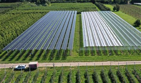 Agri Photovoltaik In Subsahara Afrika Welthungerhilfe