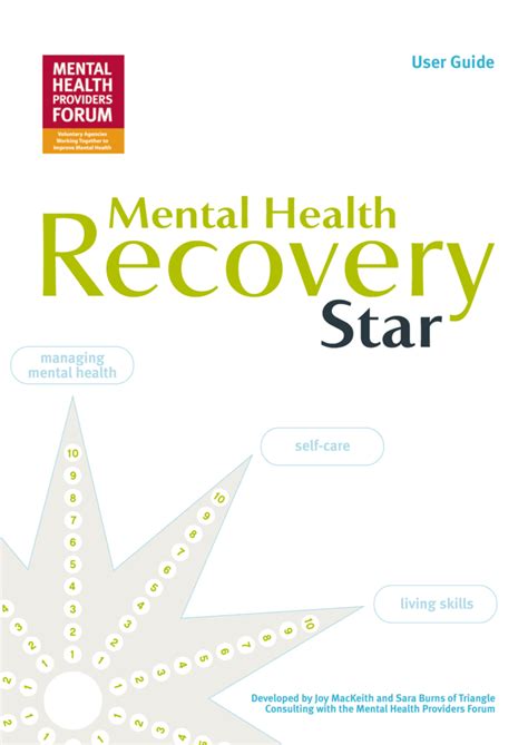 Recovery Star User Guide