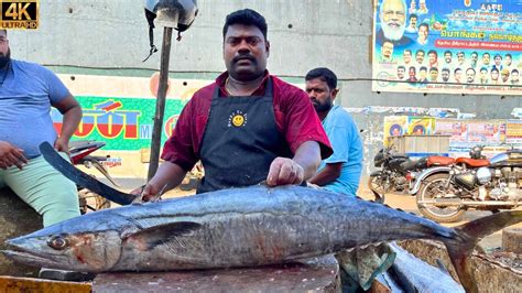 Kasimedu Speed Selvam Kg Big King Seer Fish Cutting In