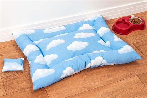 Colchonete Gigante Cama Para Cachorro Gato Pet Nuvem Azul Ecm Decor