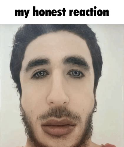 My Honest My Honest Reaction Discover Share Gifs