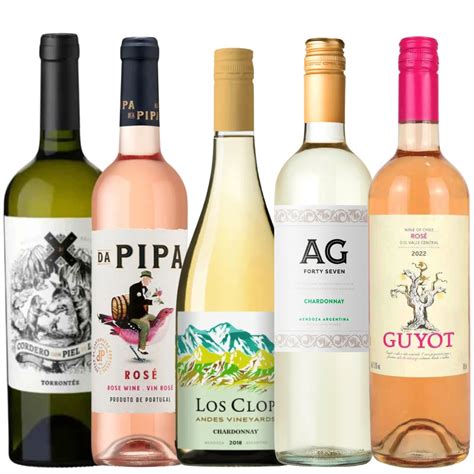 Kit de Verão Seleção Especial 5 Vinhos