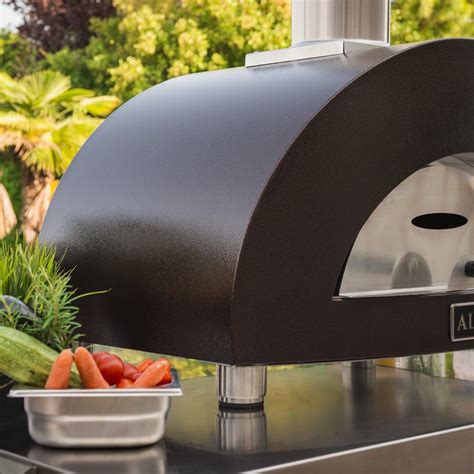 Alfa One Nano Gas Fired Pizza Oven Archipro Au