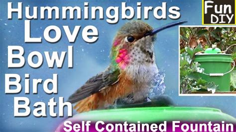 How To Make Hummingbird ENDLESS Water Fountain BOWL Bird Bath EASY Solar Powered TOTALLY ...