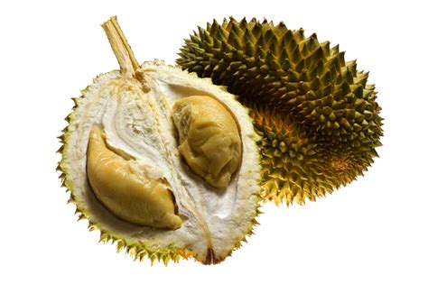 Durian Tree