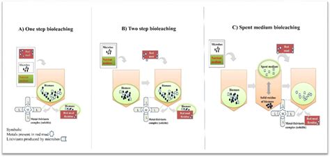 Different ways of bioleaching [Red mud bioleaching: A) One-step... | Download Scientific Diagram