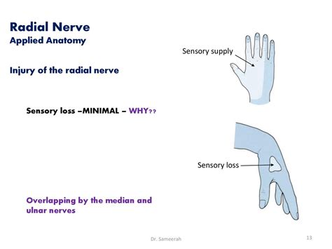 Assisstant Professor Anatomy Ppt Download