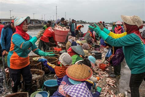 Tahun Puncak Perampasan Ruang Laut Di Indonesia