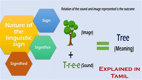 Explained In Tamil Sign Signifier And Signified Structuralism