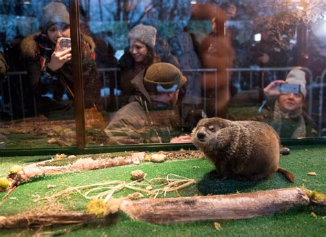 Staten Island Chuck predicts an early spring during virtual Groundhog ...