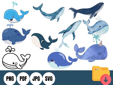 Ballena SVG Archivo Whale Cut File Whale Floral SVG Archivo Whale