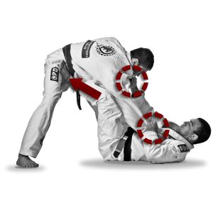 Brazilian Jiu-Jitsu for Beginners - Evolve University | Evolve University