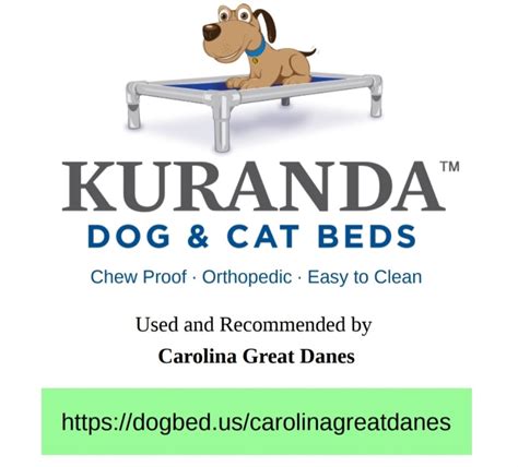 Kuranda Dog Beds - Carolina Great Danes