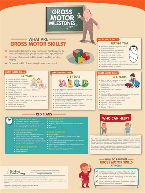 Gross Motor Milestones Infographic