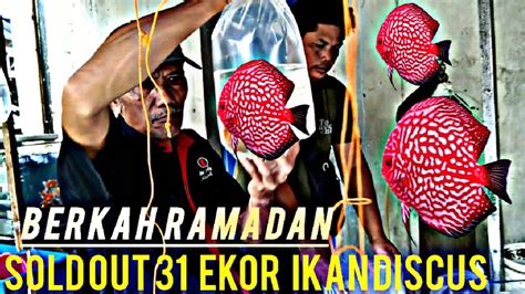 Update Harga Ikan Diskus Bulan Ramadhan Pasar Ikan Hias Parung