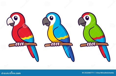 Cute Cartoon Macaw Parrots Drawing Set Stock Vector Illustration Of