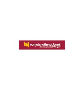 Free High-Quality Punjab National Bank Logo for Creative Design