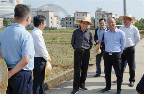 省自然资源厅陈光荣厅长一行赴河源调研 河源市人民政府门户网站