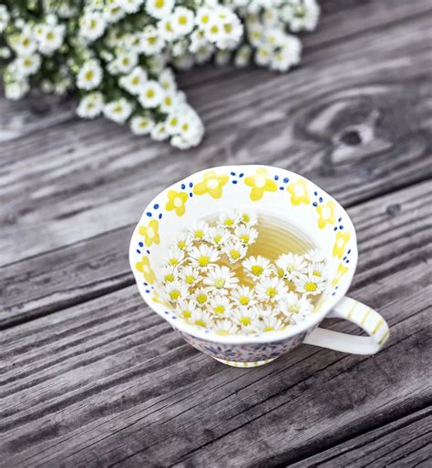 how to make tea from chamomile plant