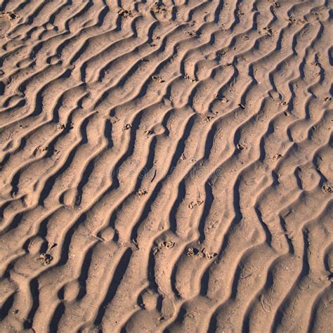 Low Tide On Sand Beach In Normandy Stock Image Image Of Beach