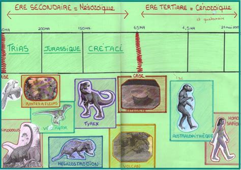 Evolution Des Organismes Et Histoire De La Terre Cours Svt Vive Les