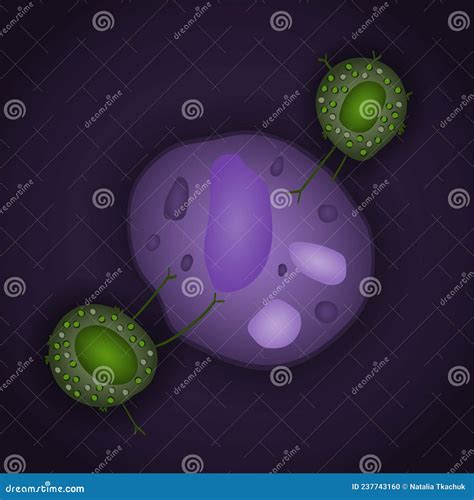 Innate Immune System Natural Killer Cells With Pathogen Vector