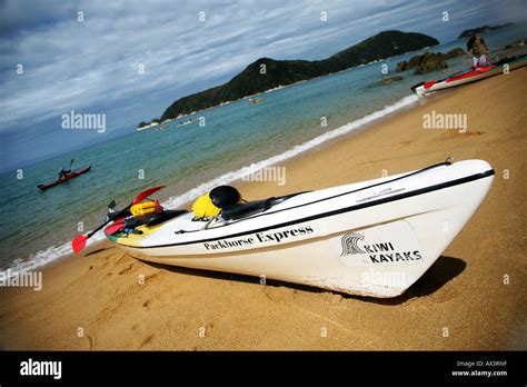 Sea Kayak Abel Tasman National Park New Zealand Stock Photo Alamy