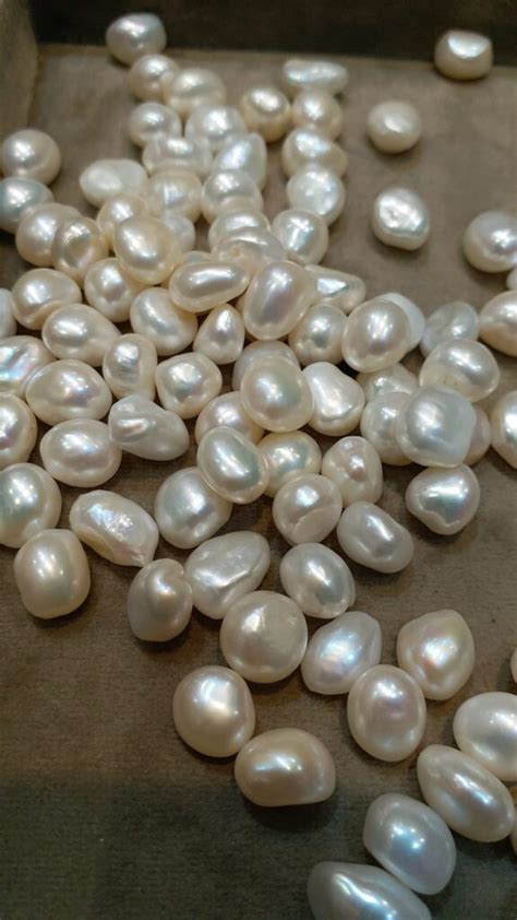 Keshi Pearl Stone Shop In Delhi India Gemswisdom