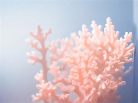 Premium AI Image | Coral Sunset Minimal Abstract Light Background