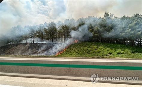 전북 장수군 야산서 불 네이트 뉴스