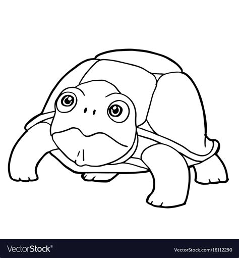 Cartoon cute turtle coloring page Royalty Free Vector Image