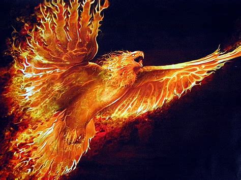 Phoenix Bird Beautiful Phoenix Hd Wallpaper Pxfuel