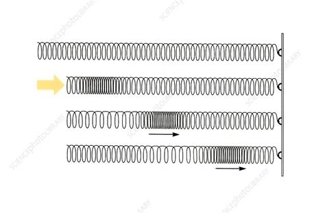 Primary seismic waves - Stock Image - E360/0009 - Science Photo Library