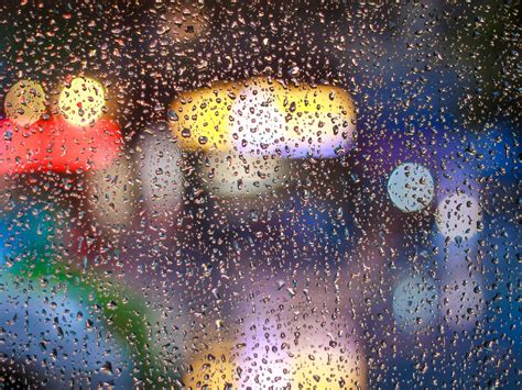 Clima hoy en La Lucila del Mar, Buenos Aires: el pronóstico del tiempo