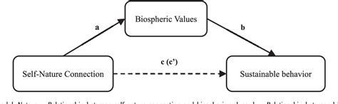 Figure From Where Do Biospheric Values Come From A Connectedness To