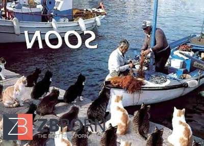 More Funny Things ZB Porn