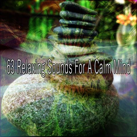 63 Relaxing Sounds For A Calm Mind Album By Asian Zen Spa Music