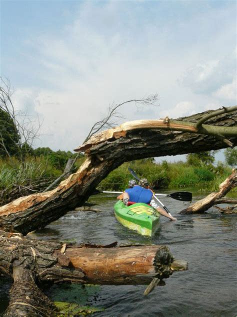 Galeria Kajaki Warka Sp Ywy Kajakowe Pilica