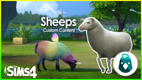 Sheeps For Cottage Living YouTube