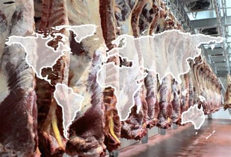 Los países y las compañías claves en el mercado mundial de carne en los